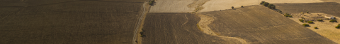 imagen aérea de campo con tonos sepia